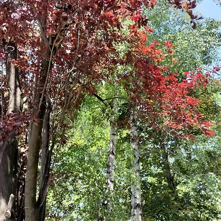 아파트 Balassa House